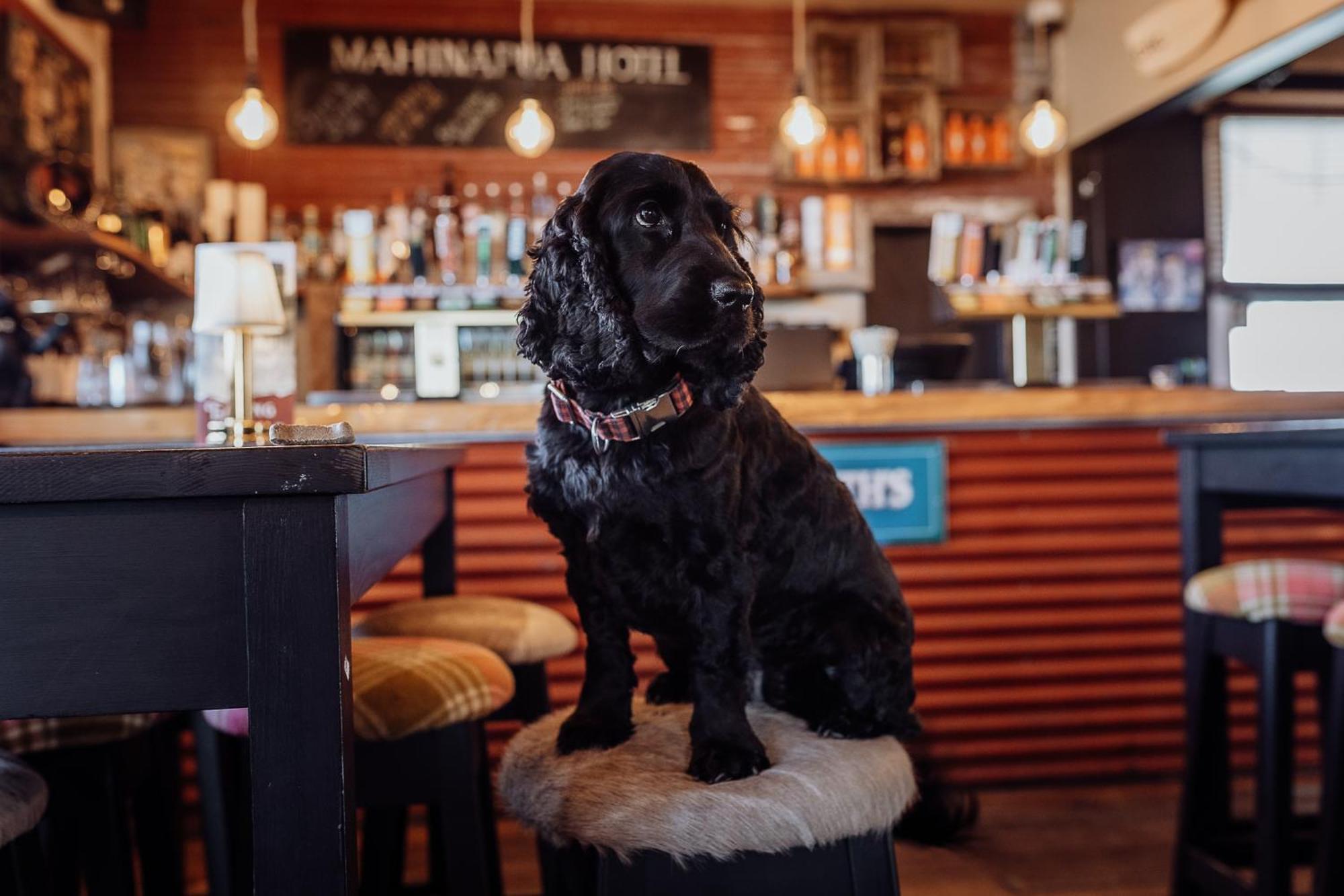 Lake Mahinapua Hotel Ruatapu Eksteriør billede